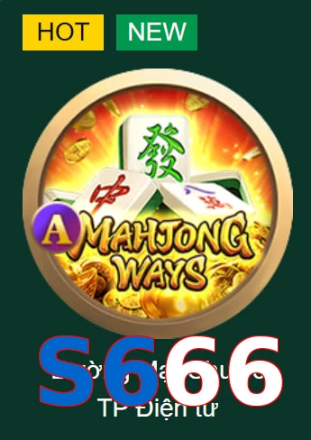S666